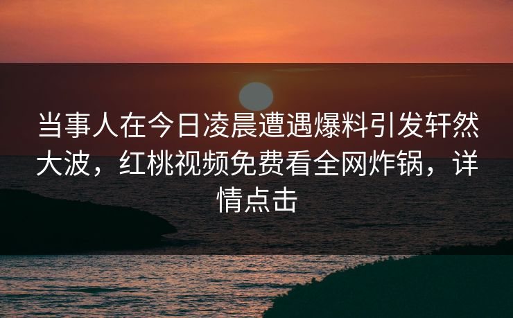 当事人在今日凌晨遭遇爆料引发轩然大波，红桃视频免费看全网炸锅，详情点击