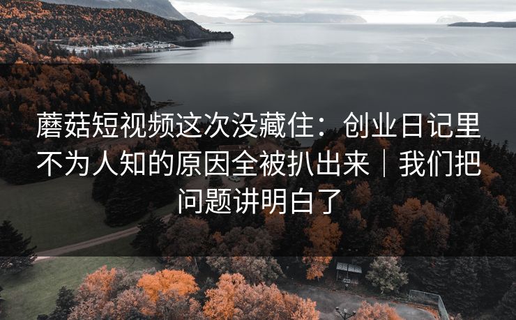 蘑菇短视频这次没藏住：创业日记里不为人知的原因全被扒出来｜我们把问题讲明白了